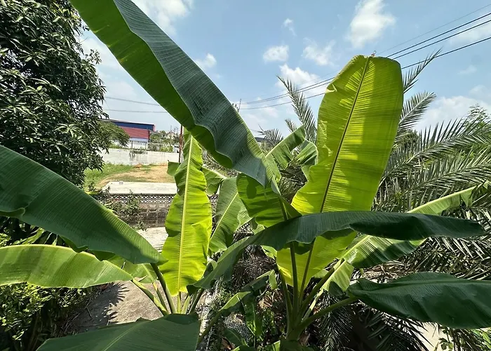 Spacious 70sqm Jungle Loft Peaceful Escape Bangkok