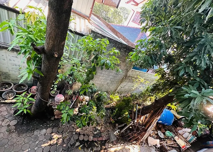 Spacious 70sqm Jungle Loft Peaceful Escape Apartment