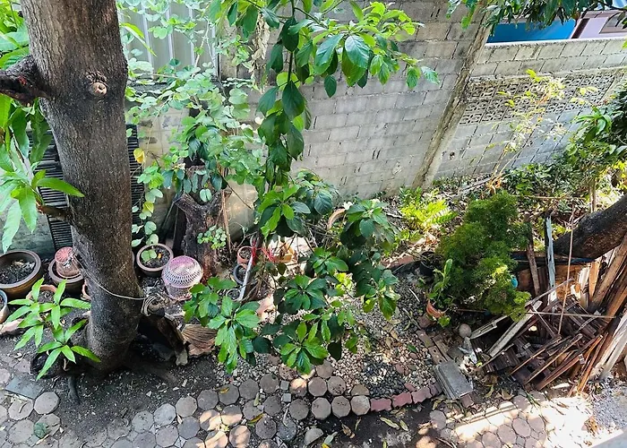Spacious 70sqm Jungle Loft Peaceful Escape