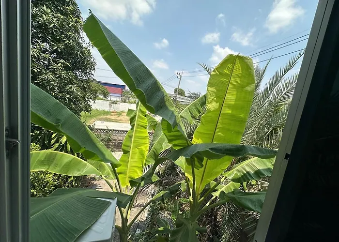 Spacious 70sqm Jungle Loft Peaceful Escape Apartment Bangkok