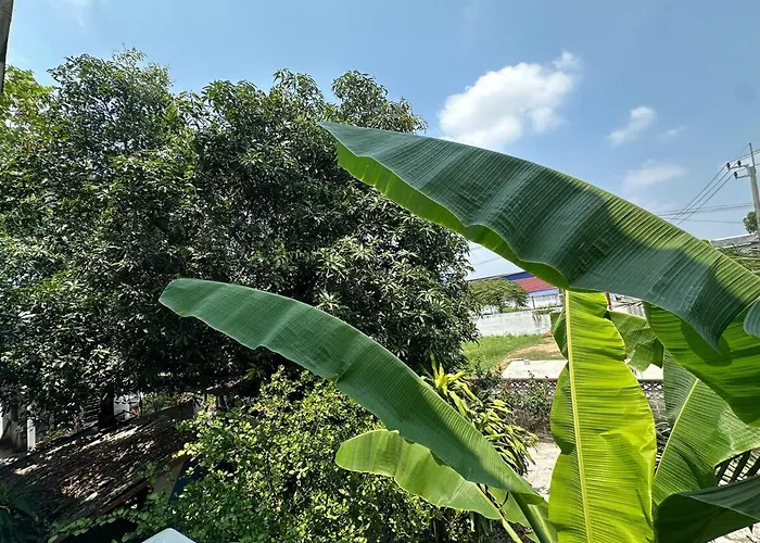Spacious 70sqm Jungle Loft Peaceful Escape