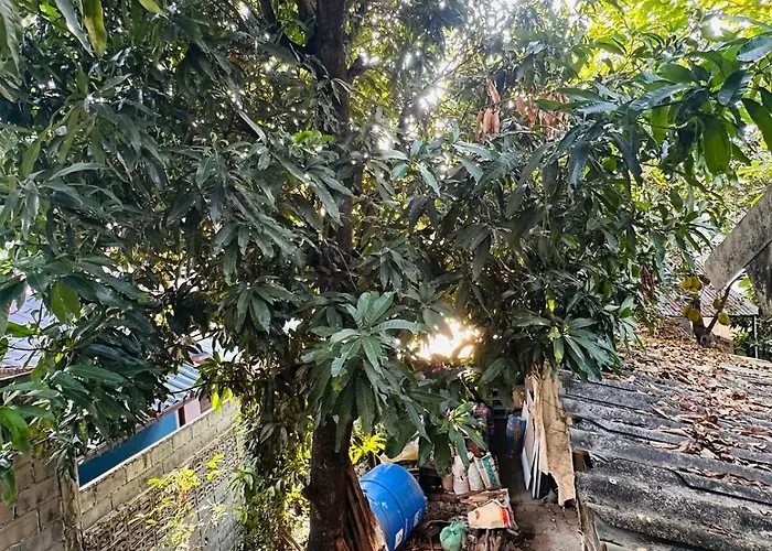 Spacious 70sqm Jungle Loft Peaceful Escape Apartment Bangkok